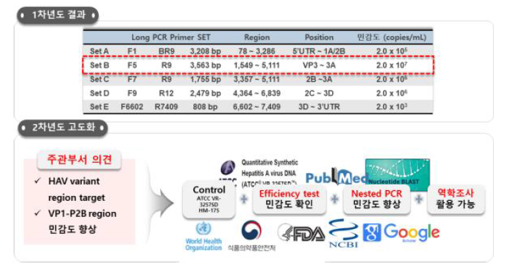 Capsid region PCR 추가 보완 사항