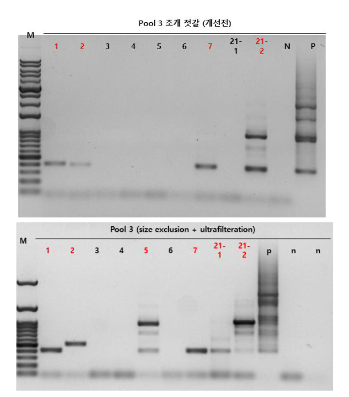 조개 젓갈로부터 전처리법 개선 전후에 따른 multiplex PCR 결과