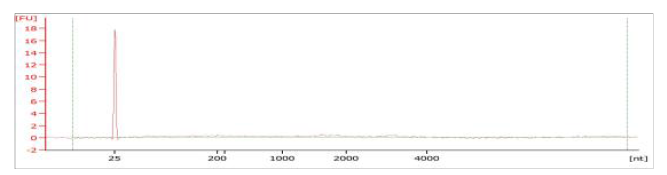 RNA integrity check (Bioanalyzer 2100, Prokaryote total RNA pico chip)