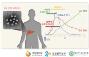 A형 간염바이러스의 감염