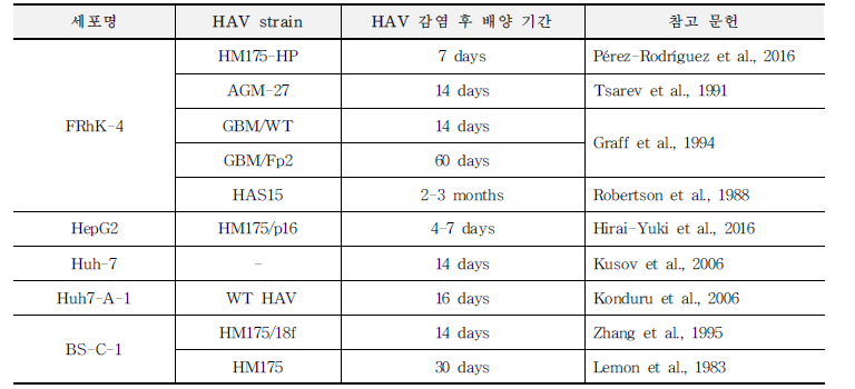 세포별 A형 간염바이러스 감염 시간