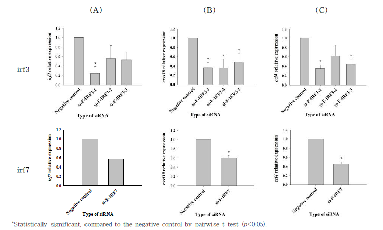 FRhK-4 세포 siRNA 도입에 따른 유전자 및 유전자 관련 cytokine 발현량 분석