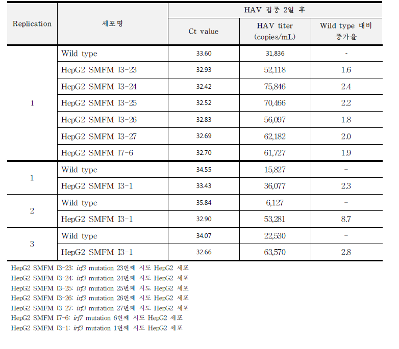 HepG2 mutant 세포 A형 간염바이러스 감염량 비교 결과