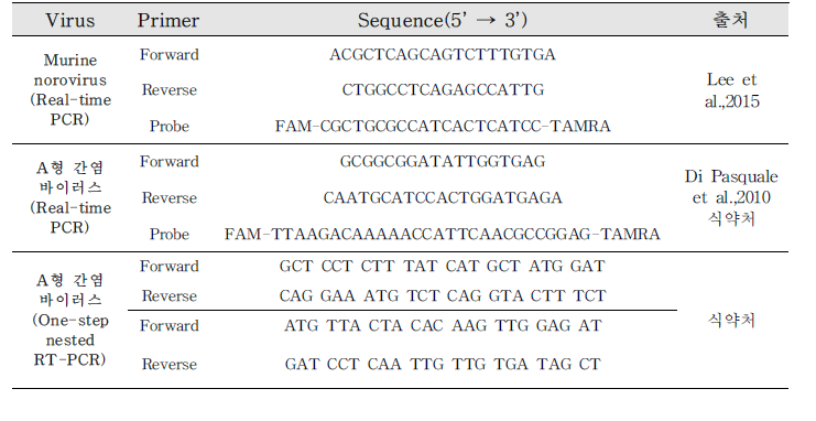바이러스 검출법에 사용되는 PCR primer와 probe