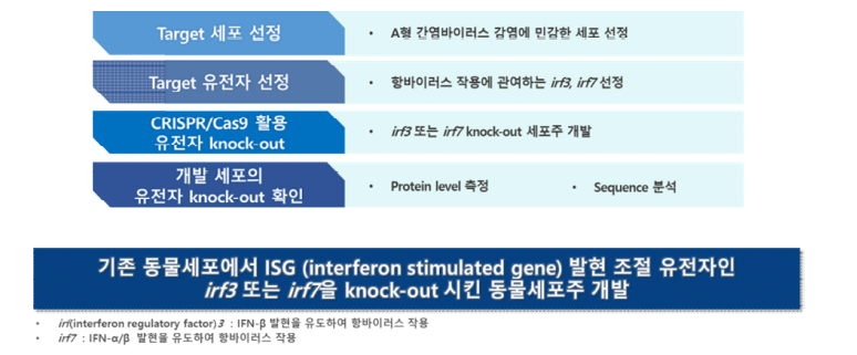 A형 간염바이러스 민감도 향상을 위한 세포주 개발