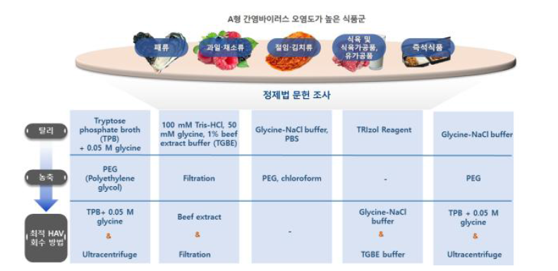 식품에서 분리된 A형 간염바이러스 정제법 조사 결과