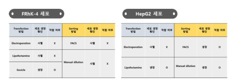 Transfection 및 sorting 결과