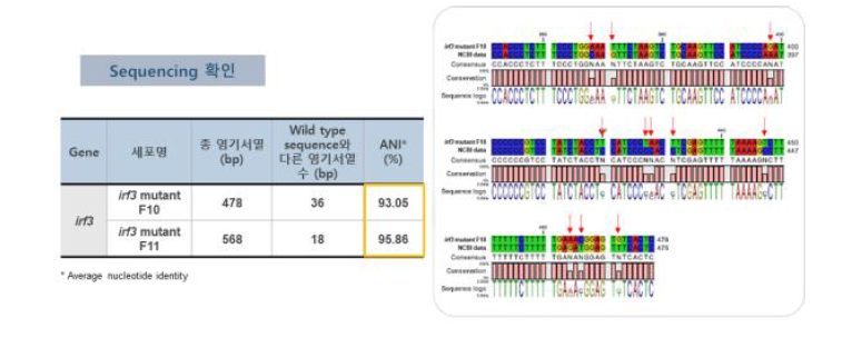 FRhk-4 cell sequencing을 통한 mutation 확인 결과