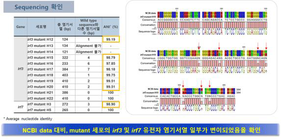 HepG2 cell sequencing을 통한 mutation 확인 결과