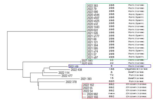 mecA 보유 S. aureus MLST 분석결과