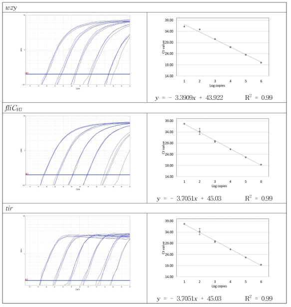 Set 1 합성 유전자의 증폭곡선 및 검출 한계 회귀 분석 결과