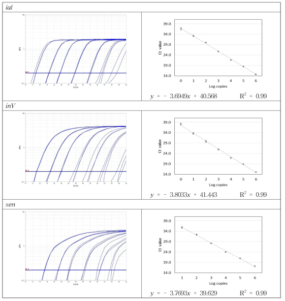 Set 2 합성 유전자의 증폭곡선 및 검출 한계 회귀 분석 결과