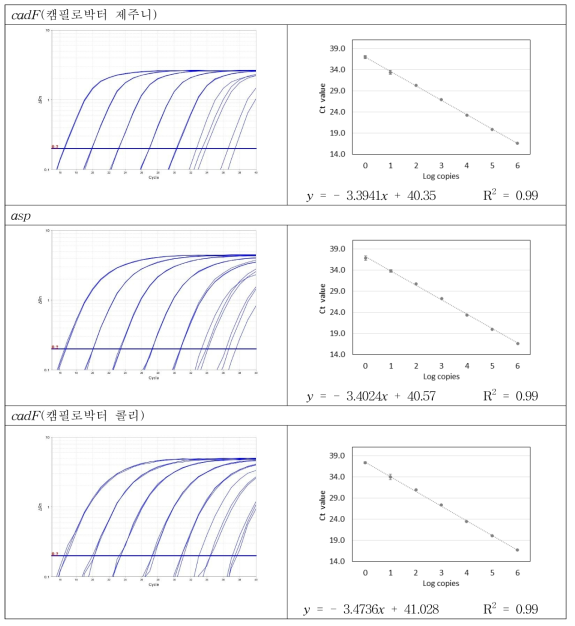 Set 11 합성 유전자의 증폭곡선 및 검출 한계 회귀 분석 결과