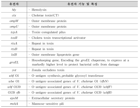 V. cholerae 보유 유전자
