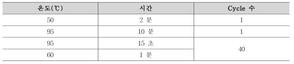 Real-time PCR 조건