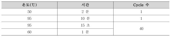 Real-time PCR 조건