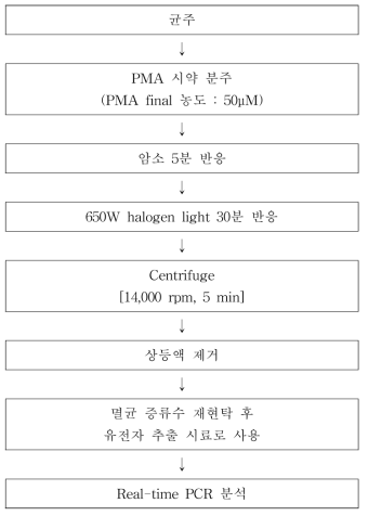 PMA 전처리 방법