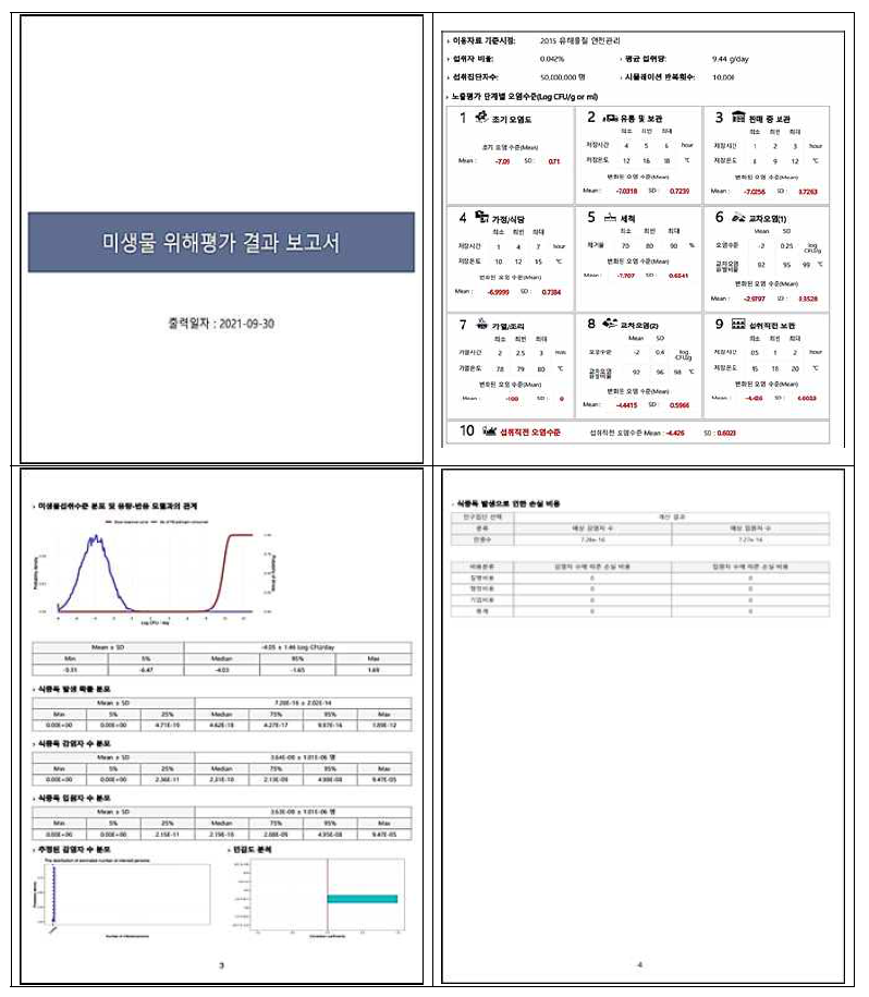 미생물 위해평가 결과 보고서 예시