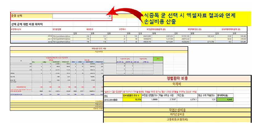 @Risk 연동 손실비용 시뮬레이션 수행 엑셀기반 프로그램 화면