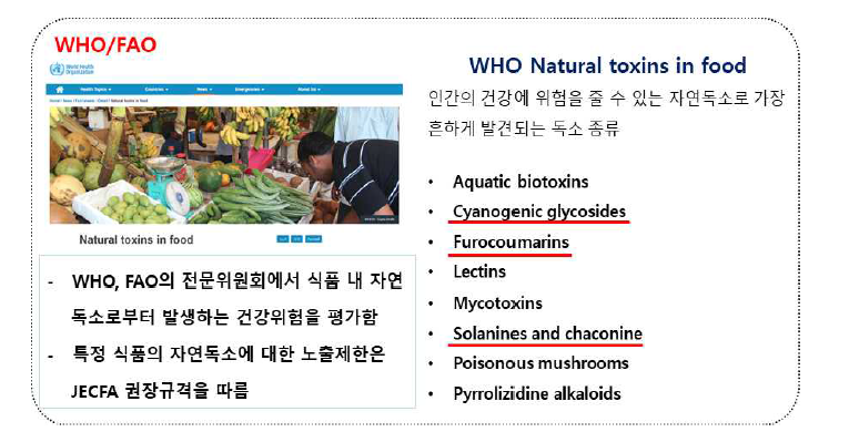 WHO/FAO 식품 내 자연독소 종류