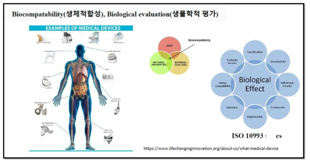 Biocompatibility(생체적합성), Biological evaluation(생물학적) 평가 의미