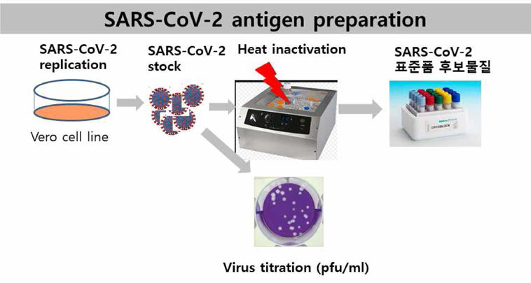 COVID-19 항원표준품 제조