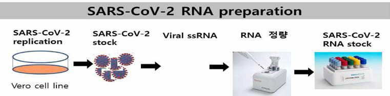 COVID-19 핵산표준품 제조