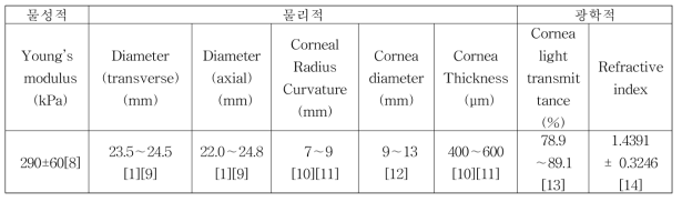 인간 안구의 물성적, 물리적, 광학적 특성 및 그 특성의 정량적 범위