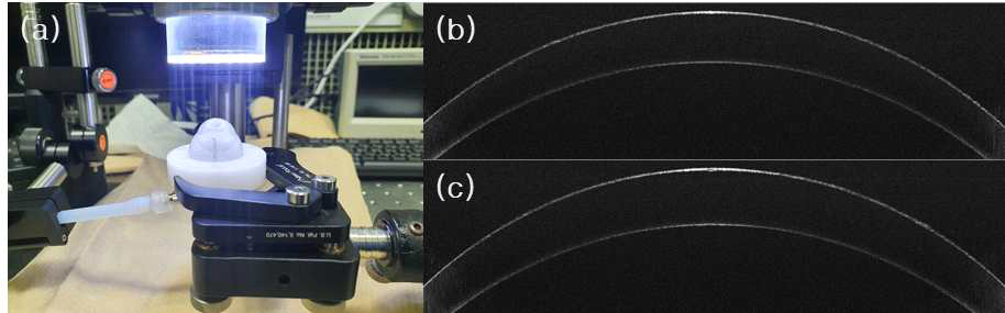 (a) OCT 이미징 스테이지에 장착된 인공 안구 팬텀의 모습과 내부 압력이 (b) 50mmHg일 때와 (c) 0mmHg일 때의 인공 안구 팬텀 각막 OCT 이미지 예시