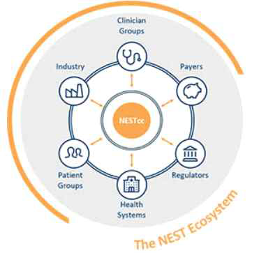 NEST-cc