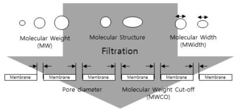대상물질의 구조적 특성에 따른 NF/RO 분리막 영향인자
