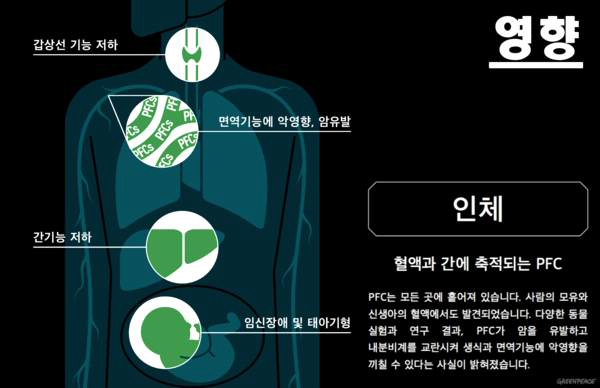 PFCs의 인체 영향 (그린피스 코리아, 2015)