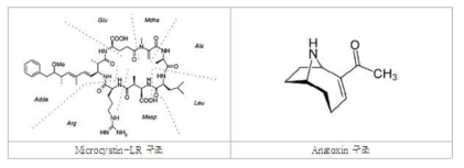 조류독성물질의 일종인 Microcystin-LR과 Anotoxin 구조