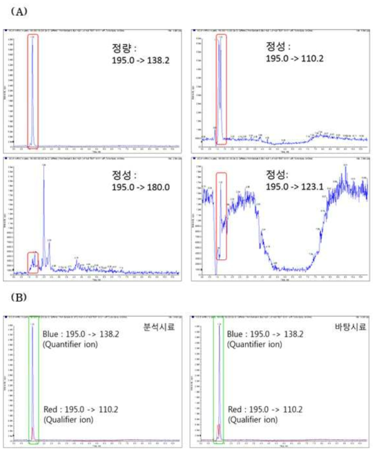 바탕시료에서 카페인의 (A)크로마토그램 및 (B)이온 비율 (ion ratio)