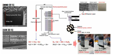 양극(MMO) 및 음극(GDE) 반응 기작