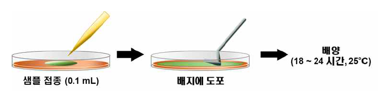 Spread plate method를 활용한 항생제 내성균 분석 방법