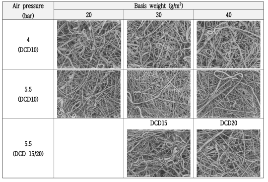 공정 조건별(중량, 에어 압력, DCD) PLA 멜트블로운 부직포의 표면 FE-SEM 이미지