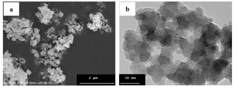 Hollow Silica Nanoparticle의 SEM, TEM이미지