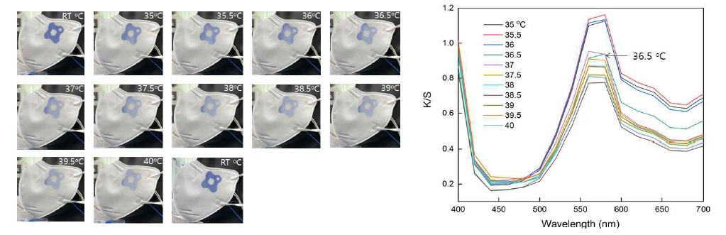 온도에 따른 변색 과정(왼쪽), 온도 별 측색 그래프(오른쪽)