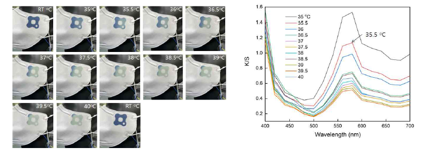 온도에 따른 변색 과정(왼쪽), 온도 별 측색 그래프(오른쪽)