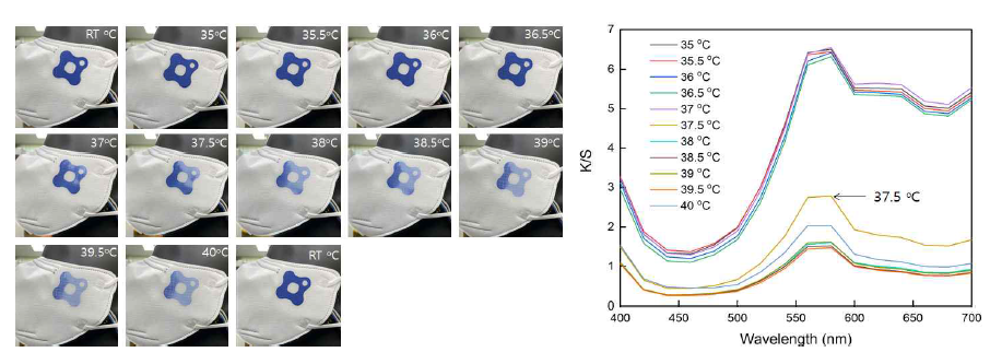 35blue의 온도에 따른 변색 과정(왼쪽), 온도 별 측색 그래프(오른쪽)