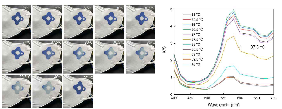 35blue/37yellow(1.5:1)의 온도에 따른 변색 과정(왼쪽), 온도 별 측색 그래프(오른쪽)