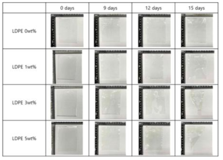 광분해(UVA lamp, 0.89 W/m2) 측정 후 산화생분해 LDPE필름 사진