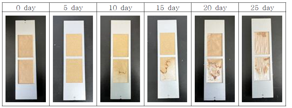 광분해(UVA lamp, 0.89 W/m2) 측정 후 시제품 사진