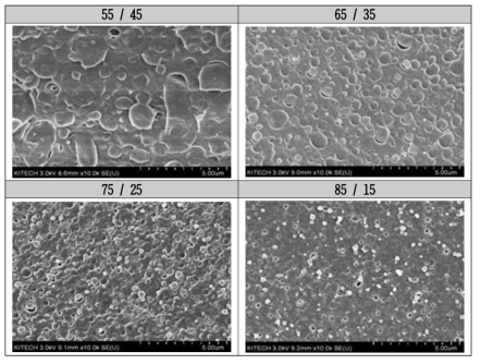 고분자 PBAT, PLA 함량별 블렌드 단면 SEM 분석