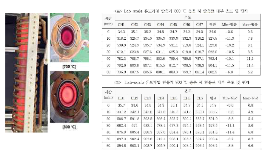 유도전류로 가열된 반응관 내·외부