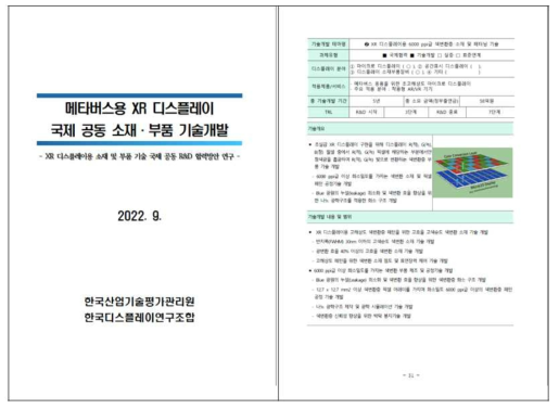 한국산업기술평가관리원과 한국디스플레이연구조합에서 추진한 비예타용 보고서 표지 및 보고서에 반영된 생기원 반도체디스플레이연구센터에서 제안한 RFP