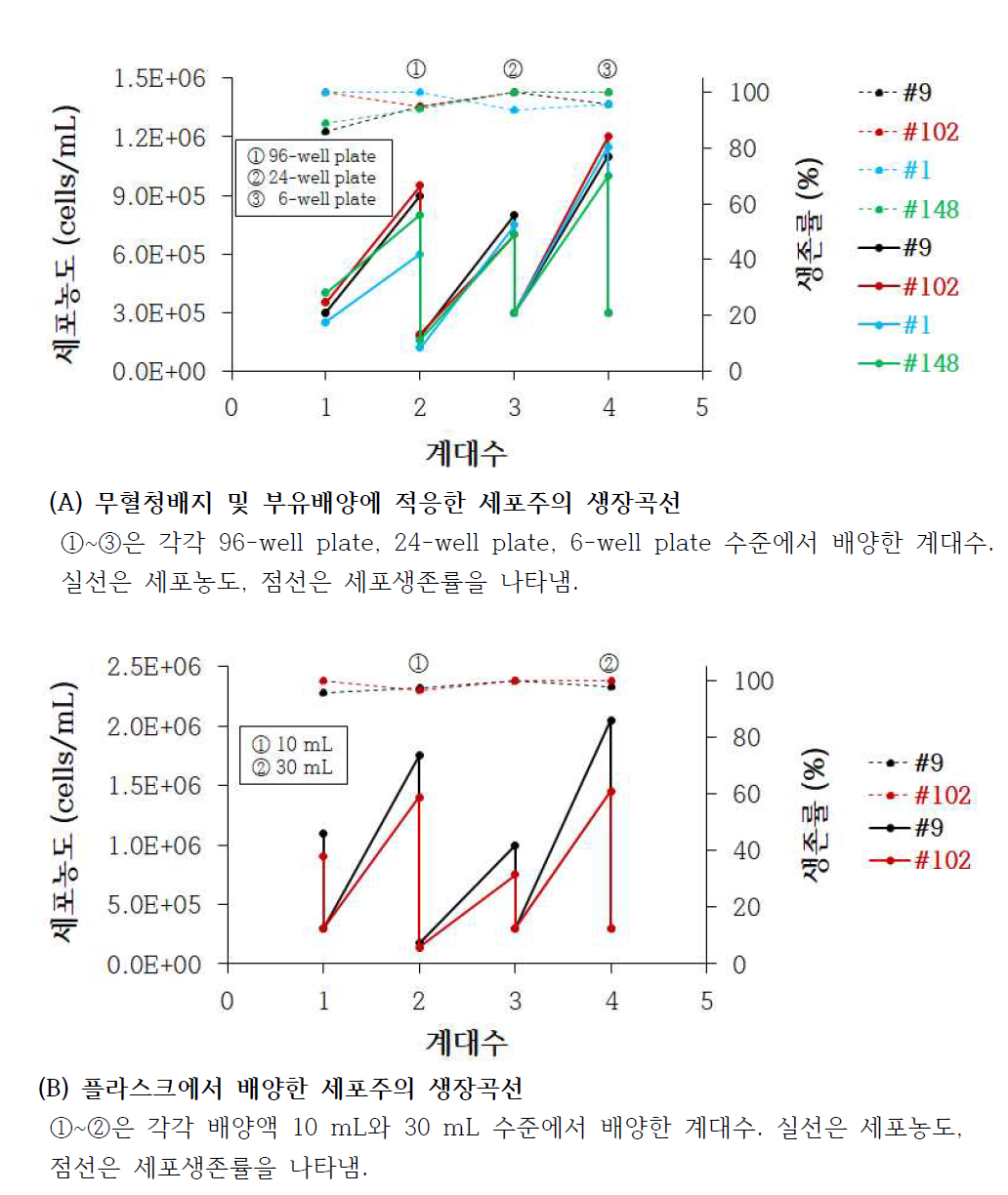 무혈청배지 및 부유배양에 적응한 세포주