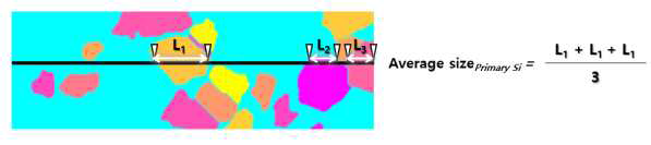 Line intercept 기반 Primary Si phase 평균 길이 도출 방법