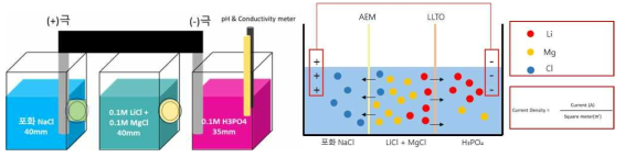 설계 모식도(좌)와 예상 이온 이동도(우)